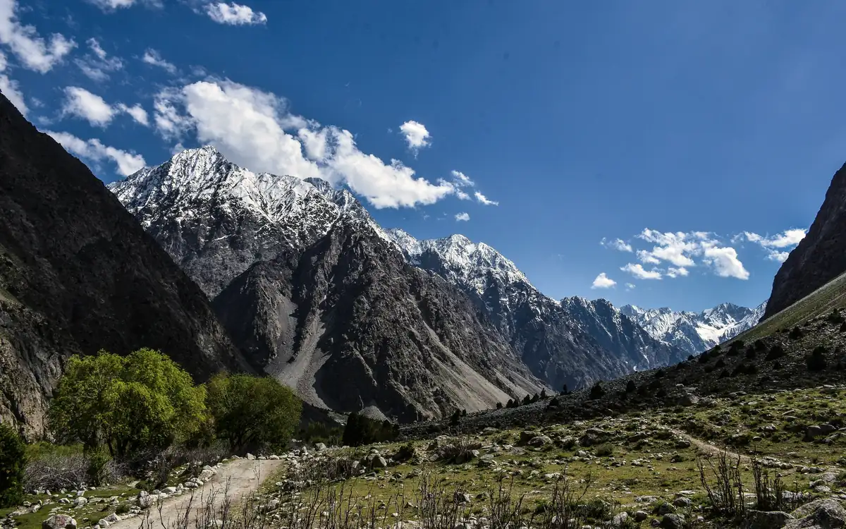 Understanding Shilajit Resin