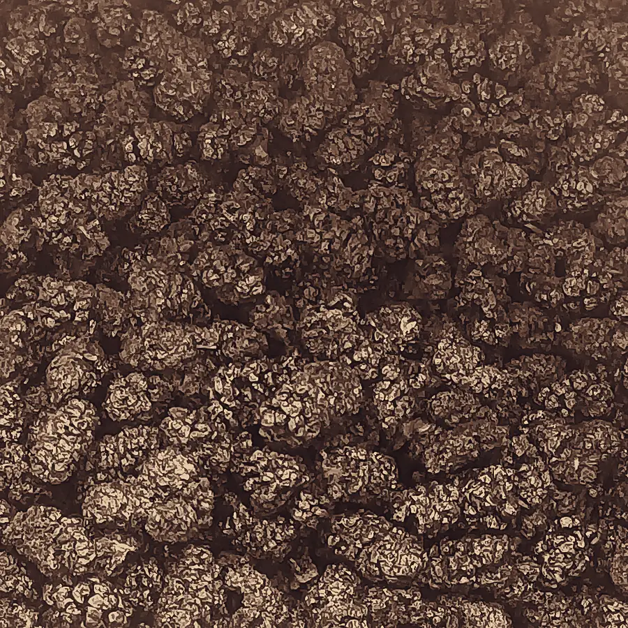 Dried mulberries, close up.